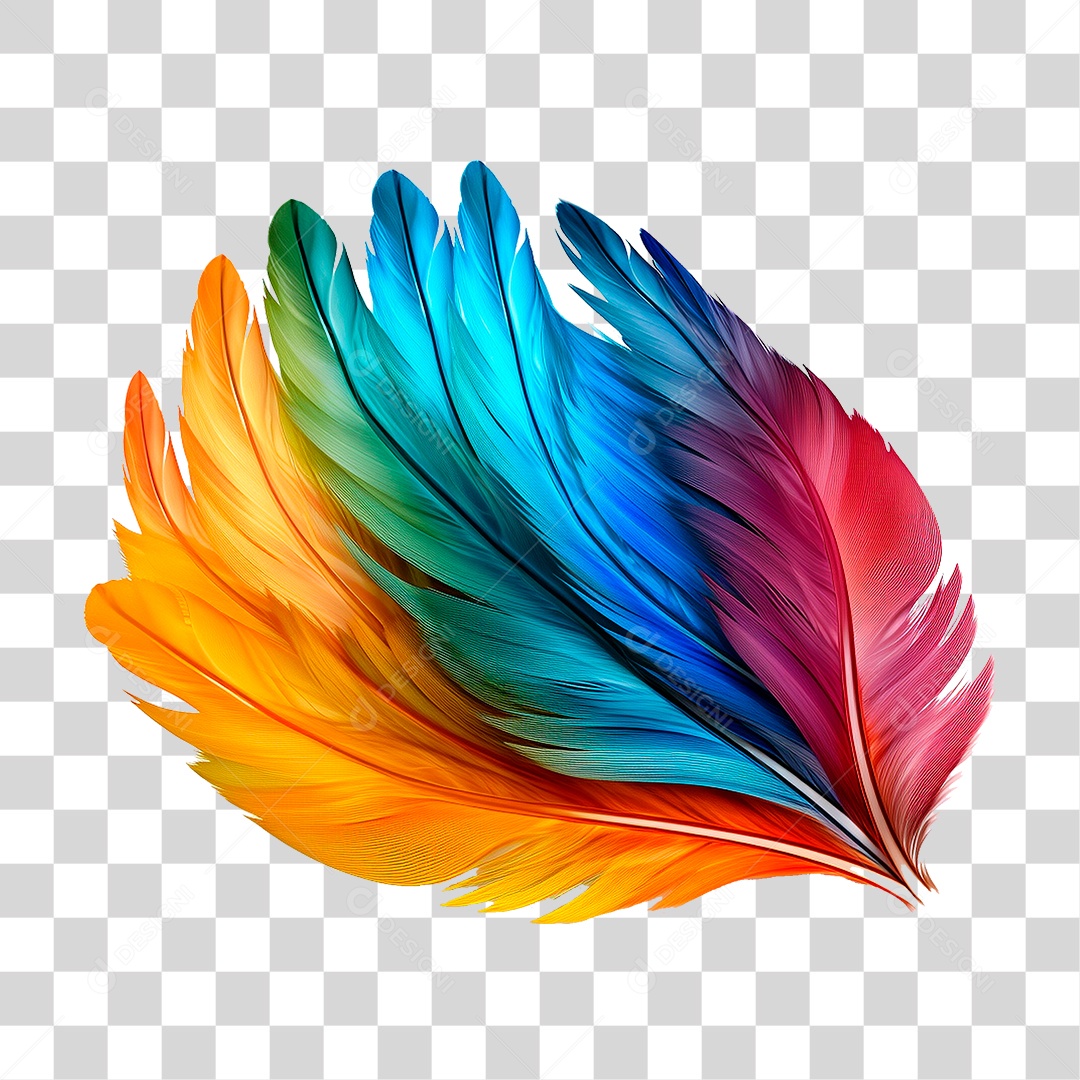 Asas Coloridas PNG Transparente