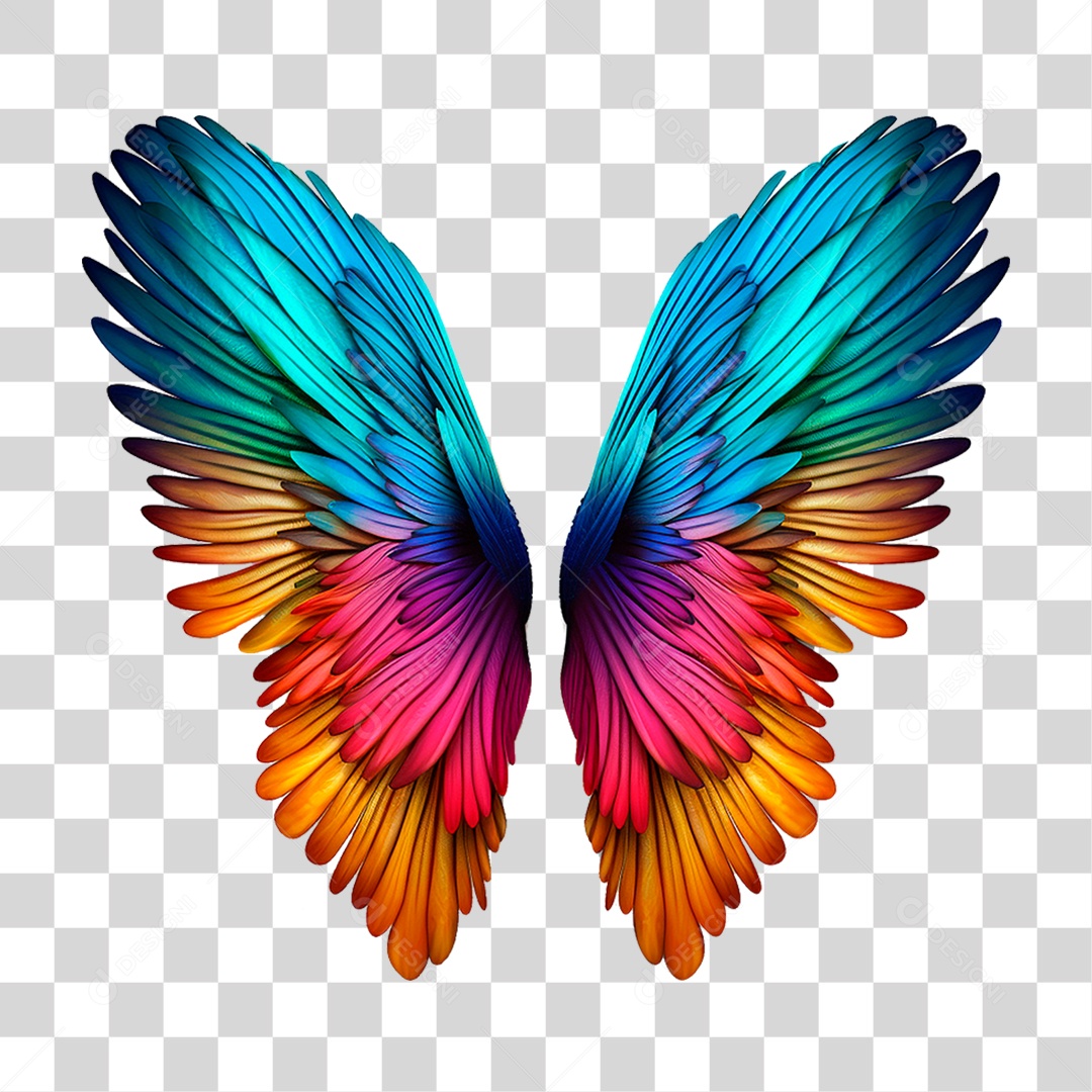 Asas Coloridas PNG Transparente