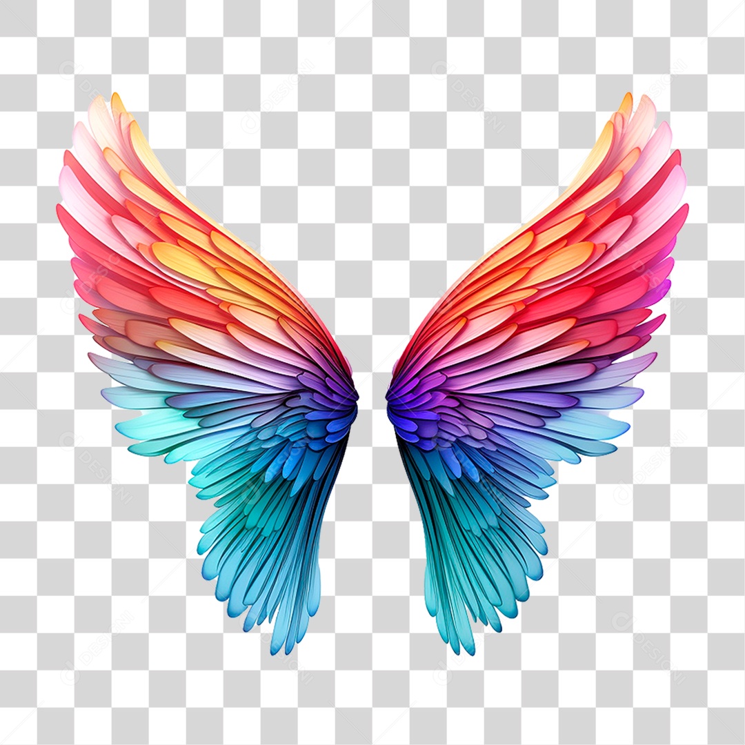 Asas Coloridas PNG Transparente