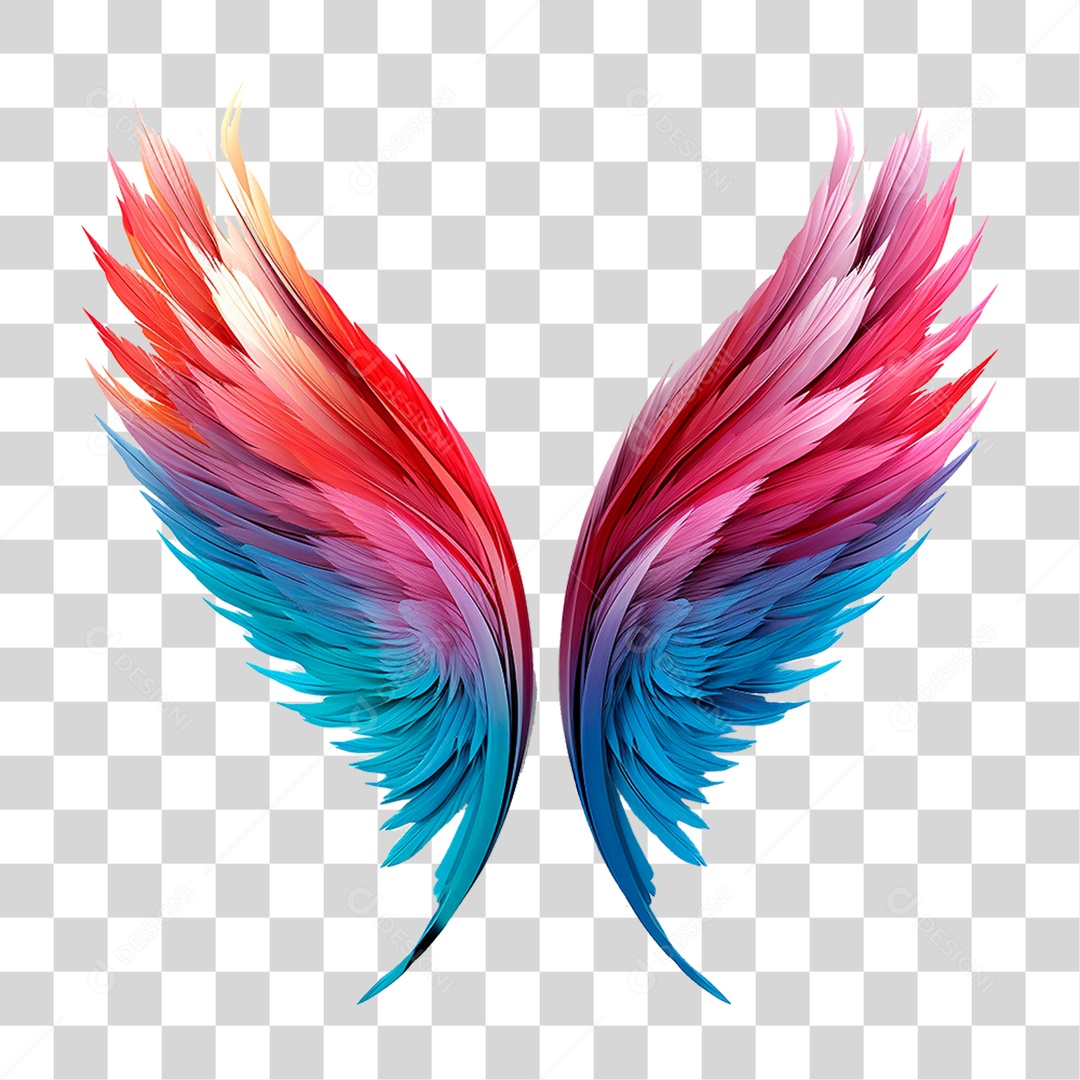 Asas Coloridas PNG Transparente