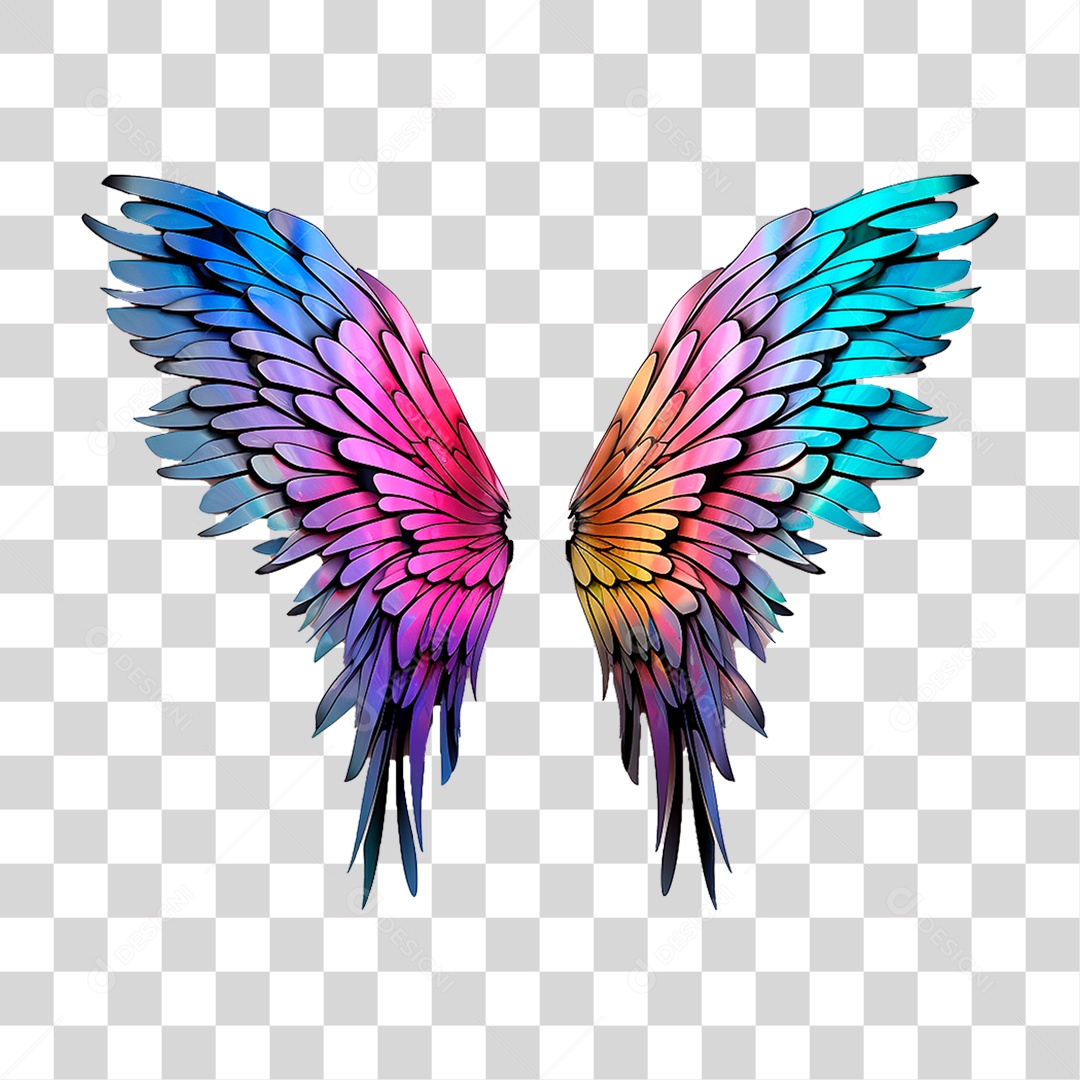 Asas Coloridas PNG Transparente
