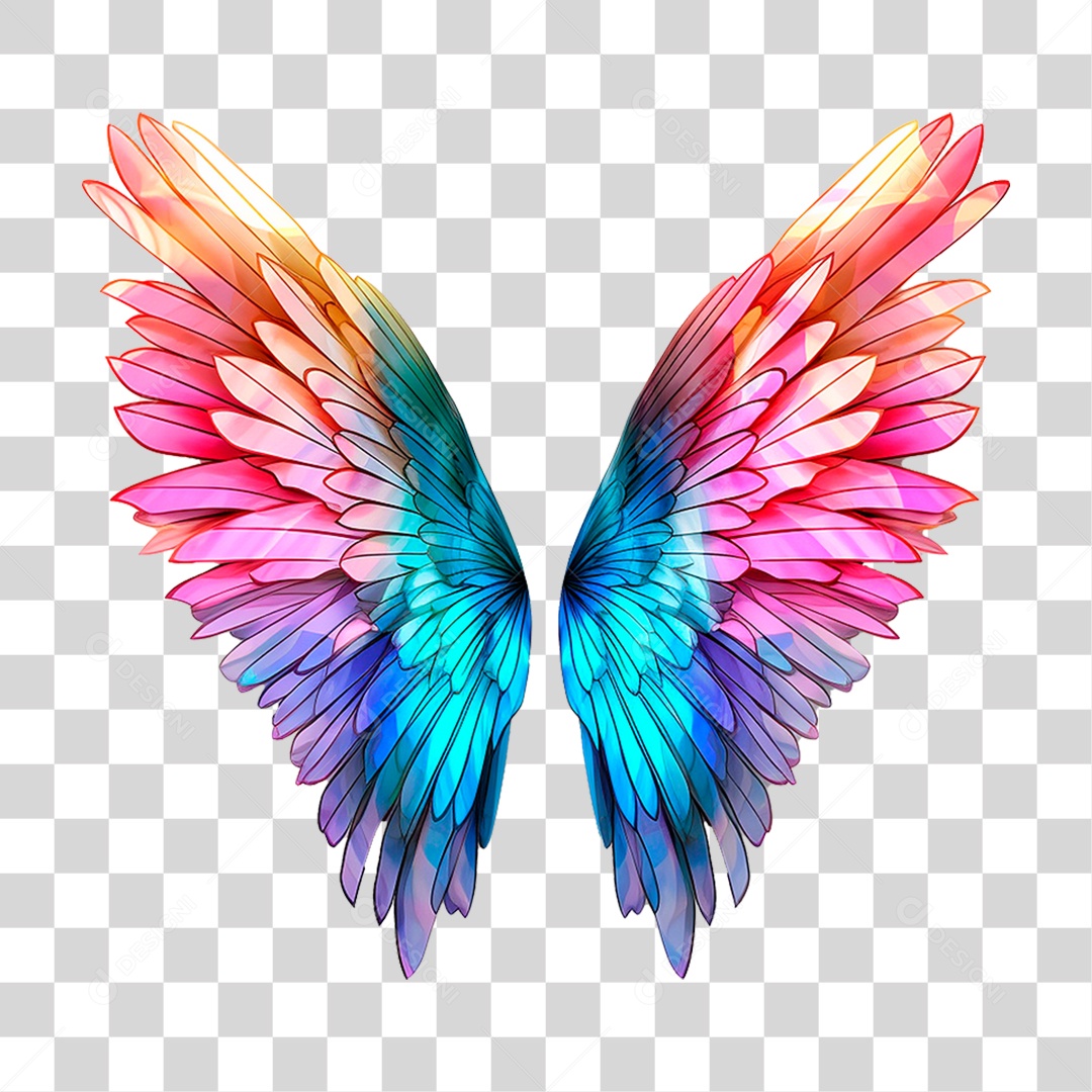 Asas Coloridas PNG Transparente