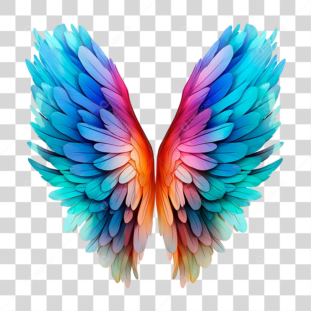 Asas Coloridas PNG Transparente