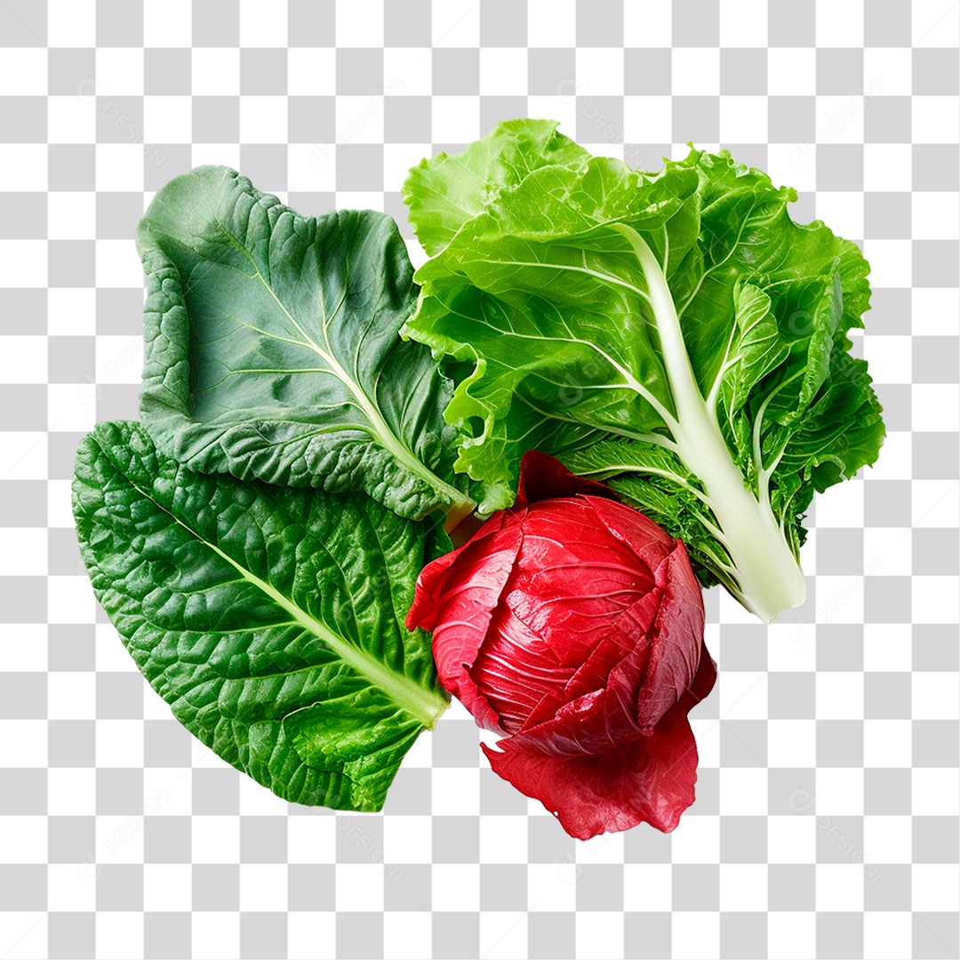Folhas de Couve PNG Transparente