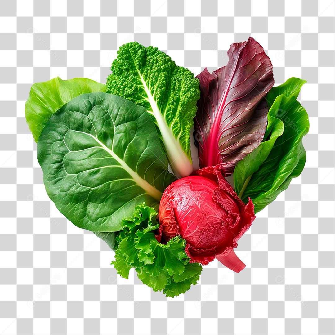 Folhas de Couve PNG Transparente