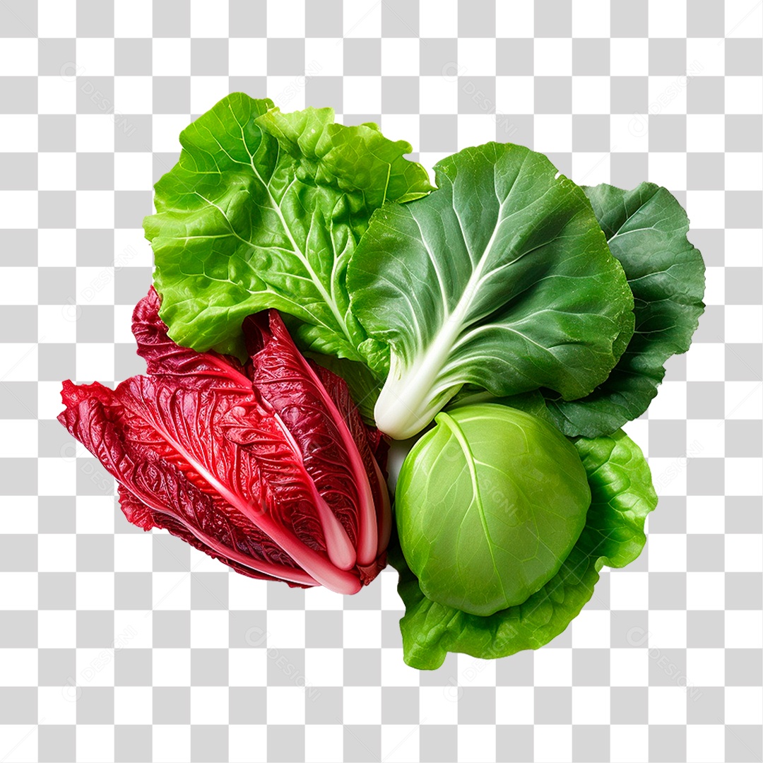 Folhas de Couve PNG Transparente