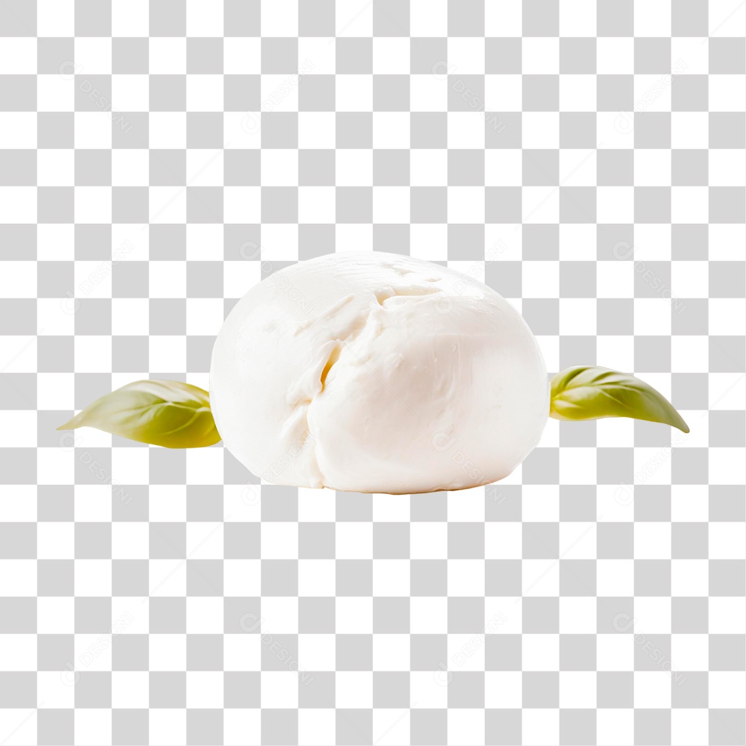 Fatias de Mussarela PN G Transparente