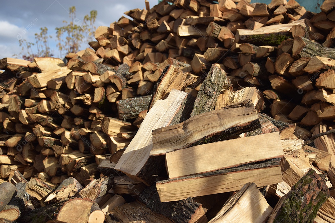 Árvores cortadas empilhas para o inverno