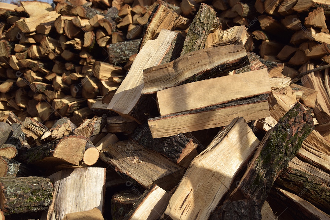 Árvore cortadas para lenha inverno