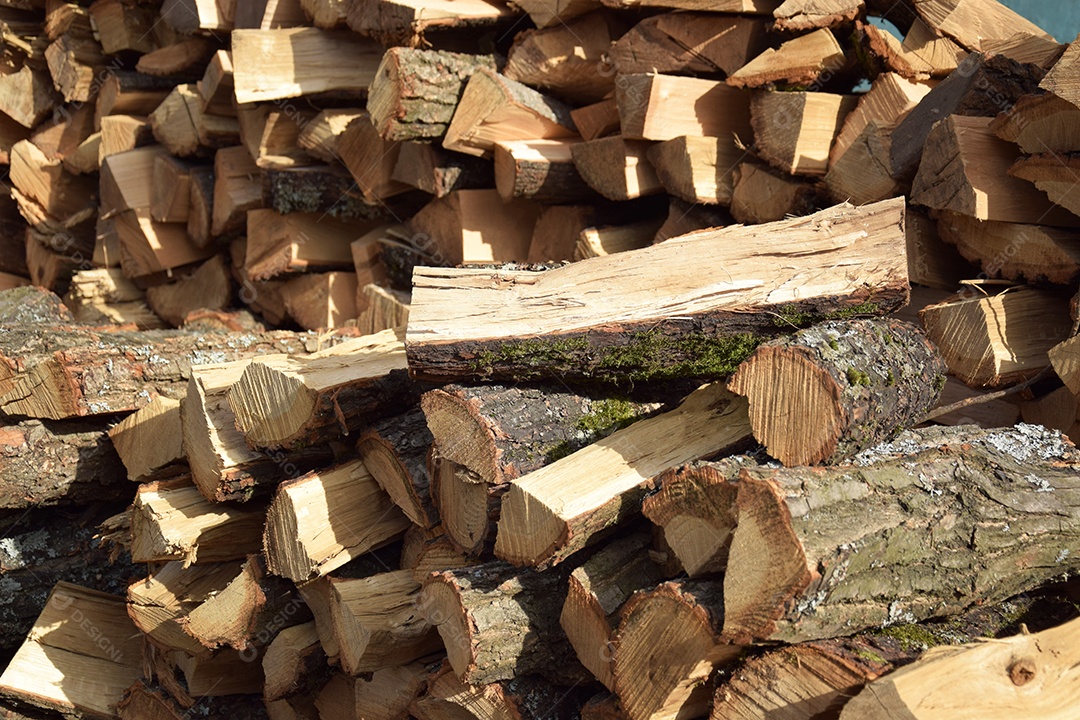 A árvore cortada e empilhada para inverno
