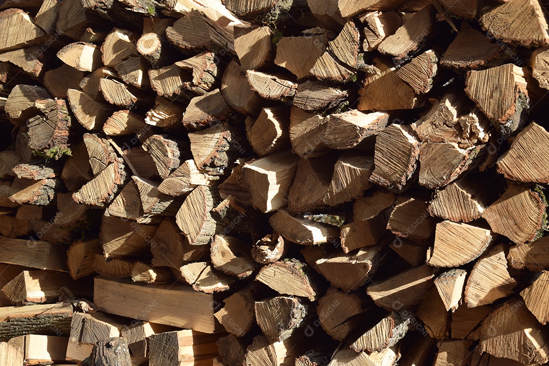 A árvore cortada foi empilhada