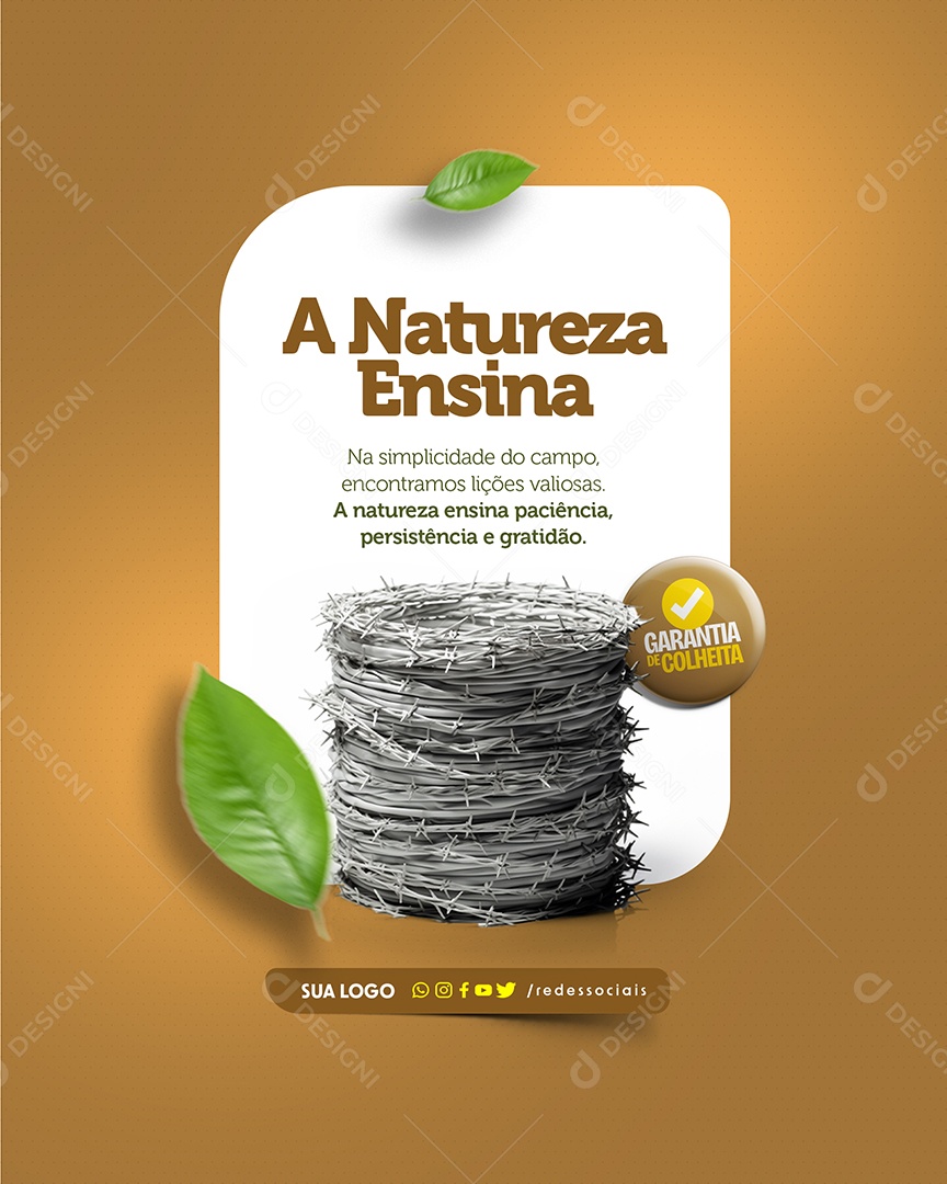 A Natureza Ensina Paciência Persistência e Gratidão Social Media PSD Editável