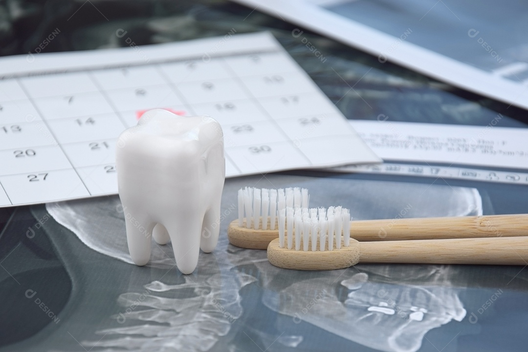 Instantâneo panorâmico da mandíbula do dente do paciente escovas de dentes