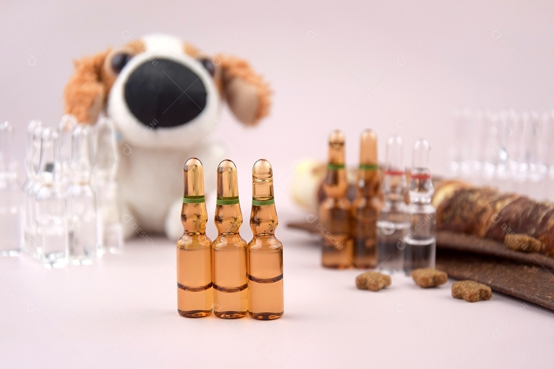 Vacinação de animais de estimação seringa com ampolas peluche e guloseima para cão