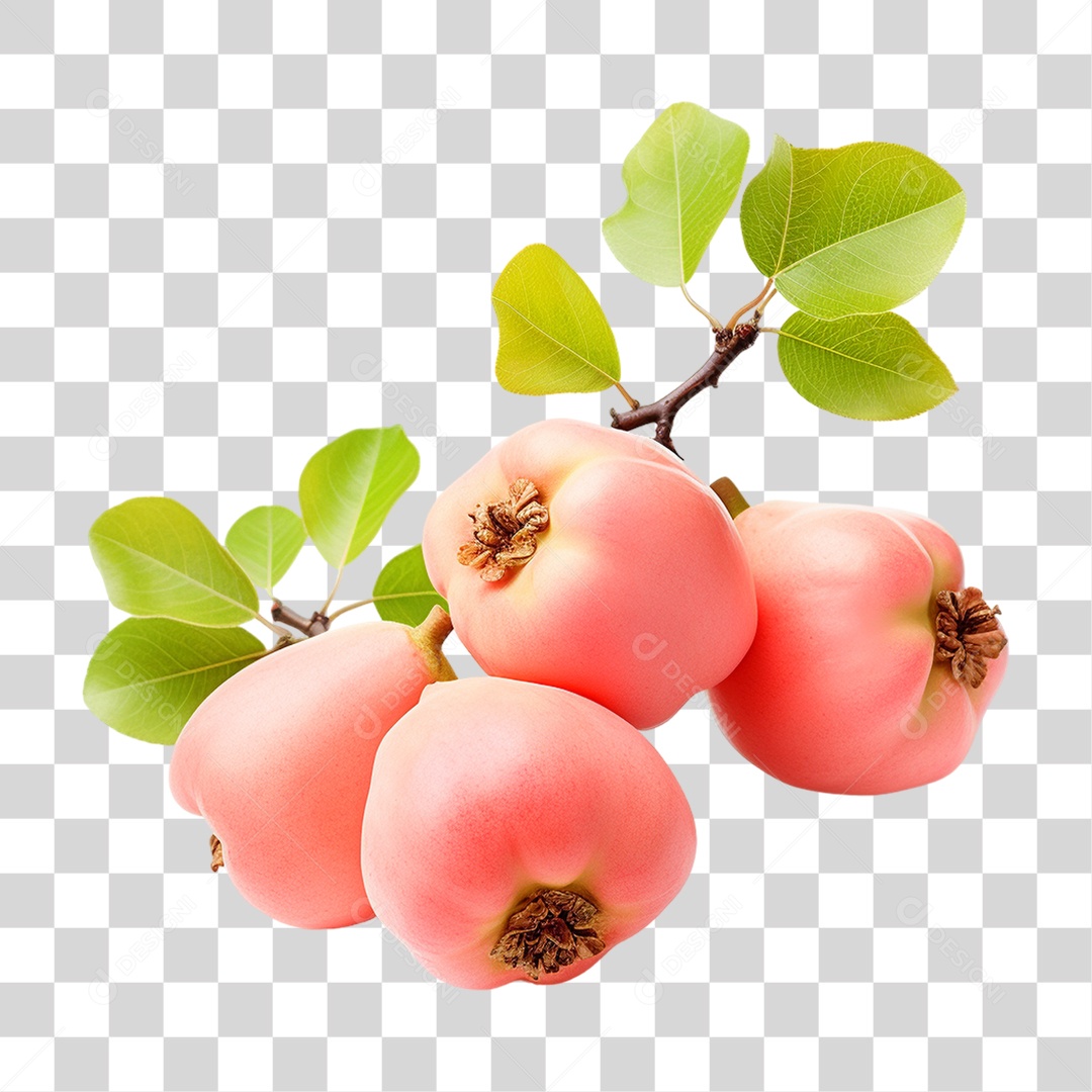 Fruta Marmelo PNG Transparente