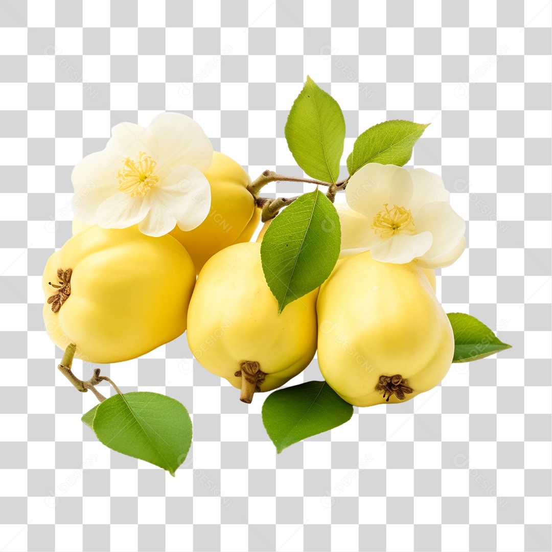 Fruta Marmelo PNG Transparente