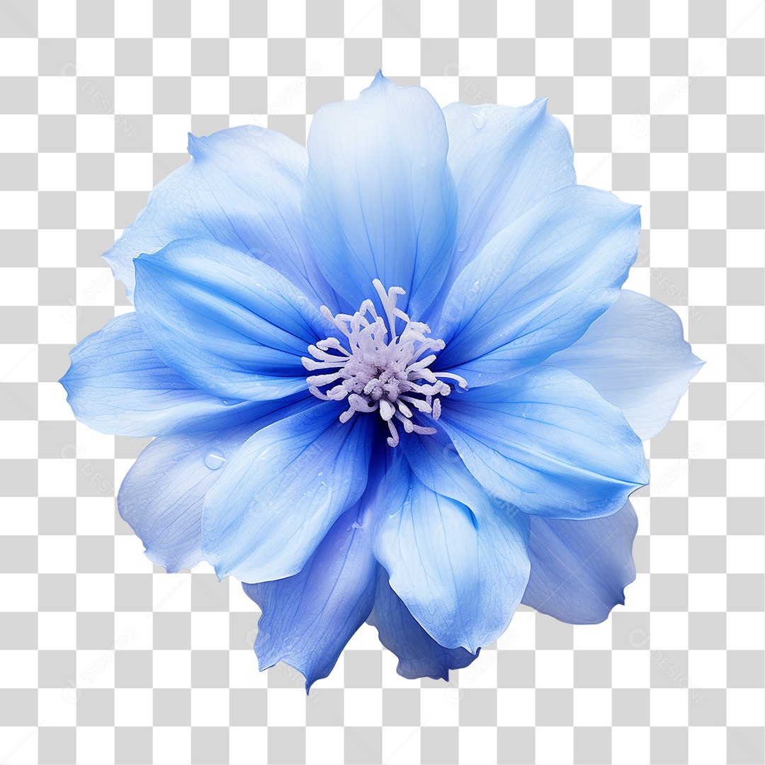 Flores Rosas Plantas PNG Transparente