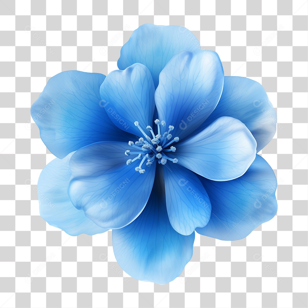 Flores Rosas Plantas PNG Transparente