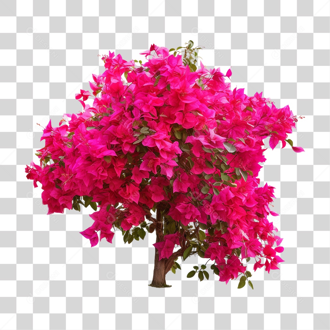 Árvore com Flores PNG Transparente