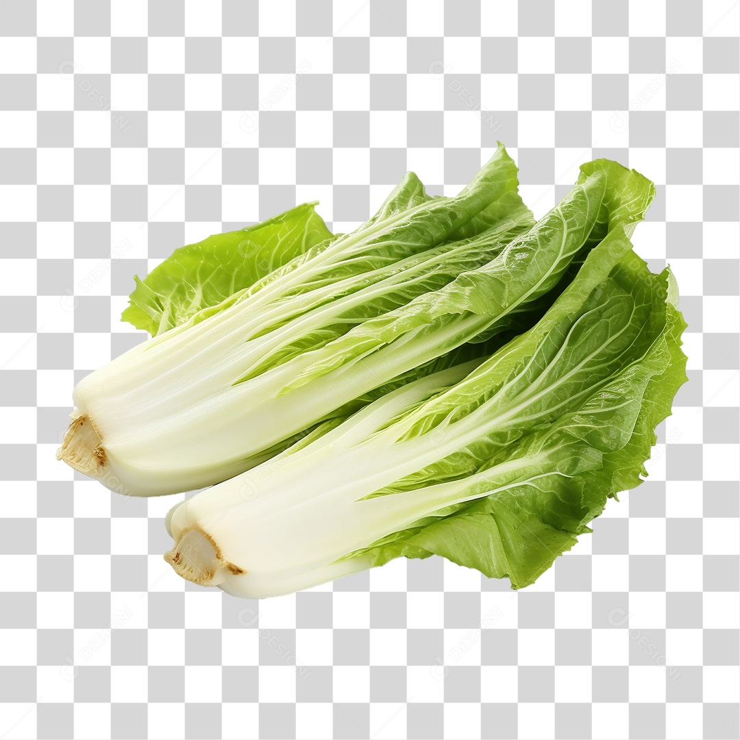 Folhas de Alface PNG Transparente