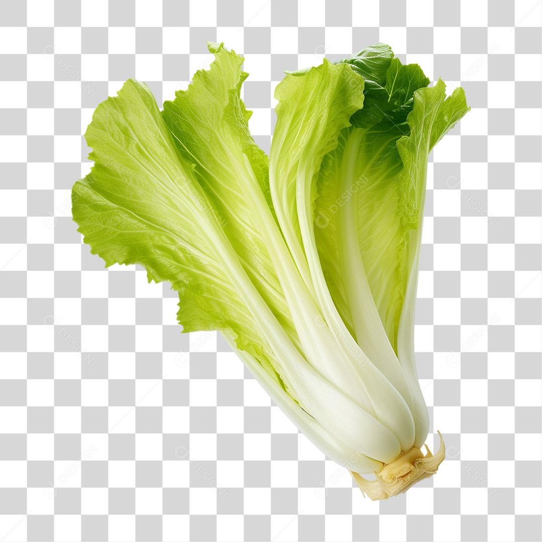 Folhas de Alface PNG Transparente