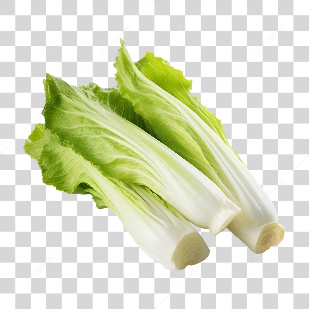 Transparent PNG Lettuce Leaves