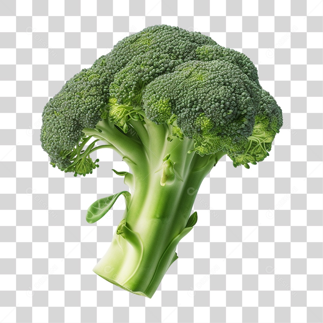 Brócolis Legumes PNG Transparente