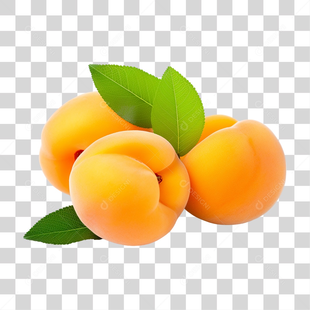 Fruta Damasco PNG Transparente