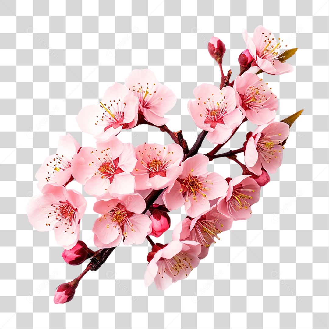 Flores Rosas Plantas PNG Transparente