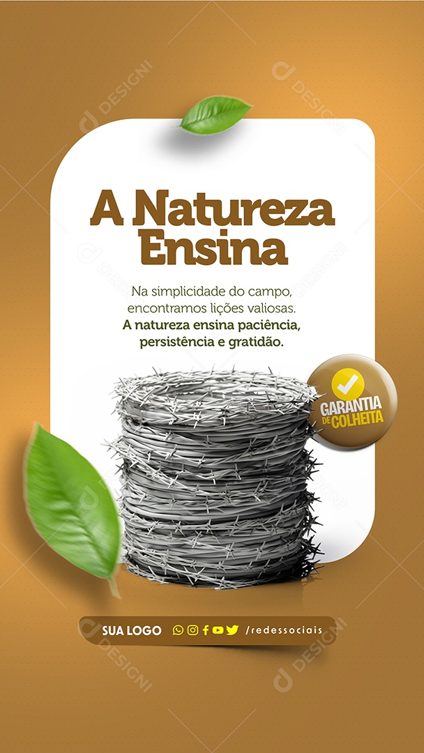 Story A Natureza Ensina Paciência Persistência e Gratidão Social Media PSD Editável