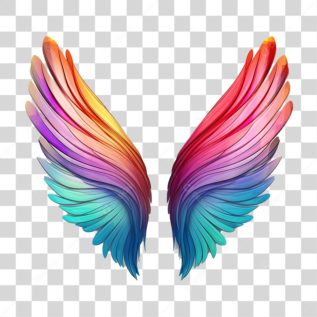 Asas Coloridas PNG Transparente