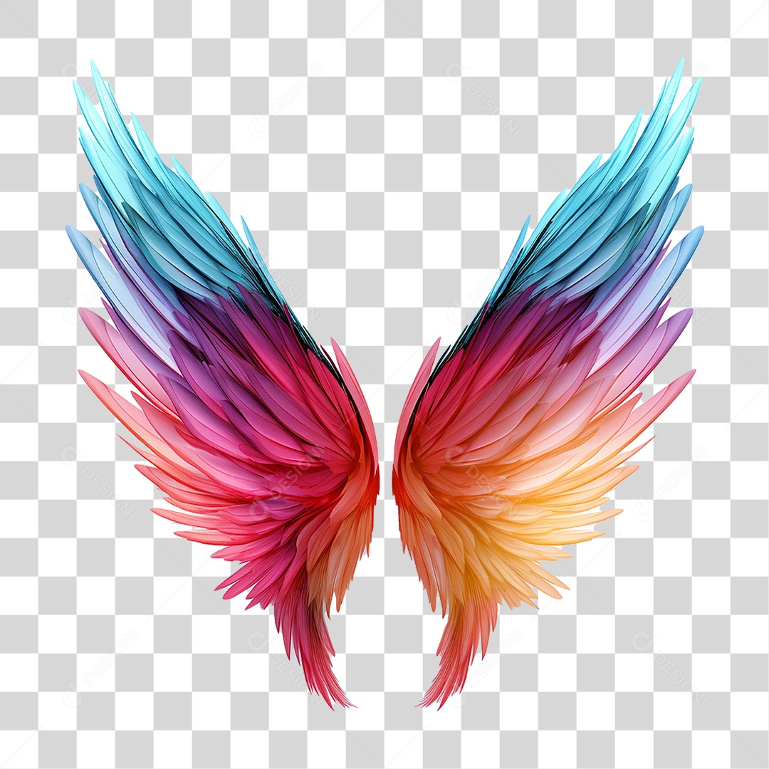 Asas Coloridas PNG Transparente