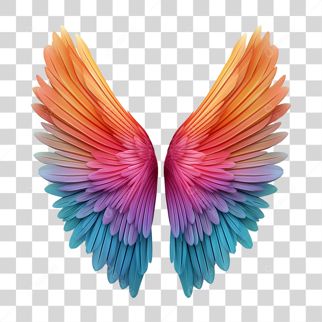 Asas Coloridas PNG Transparente
