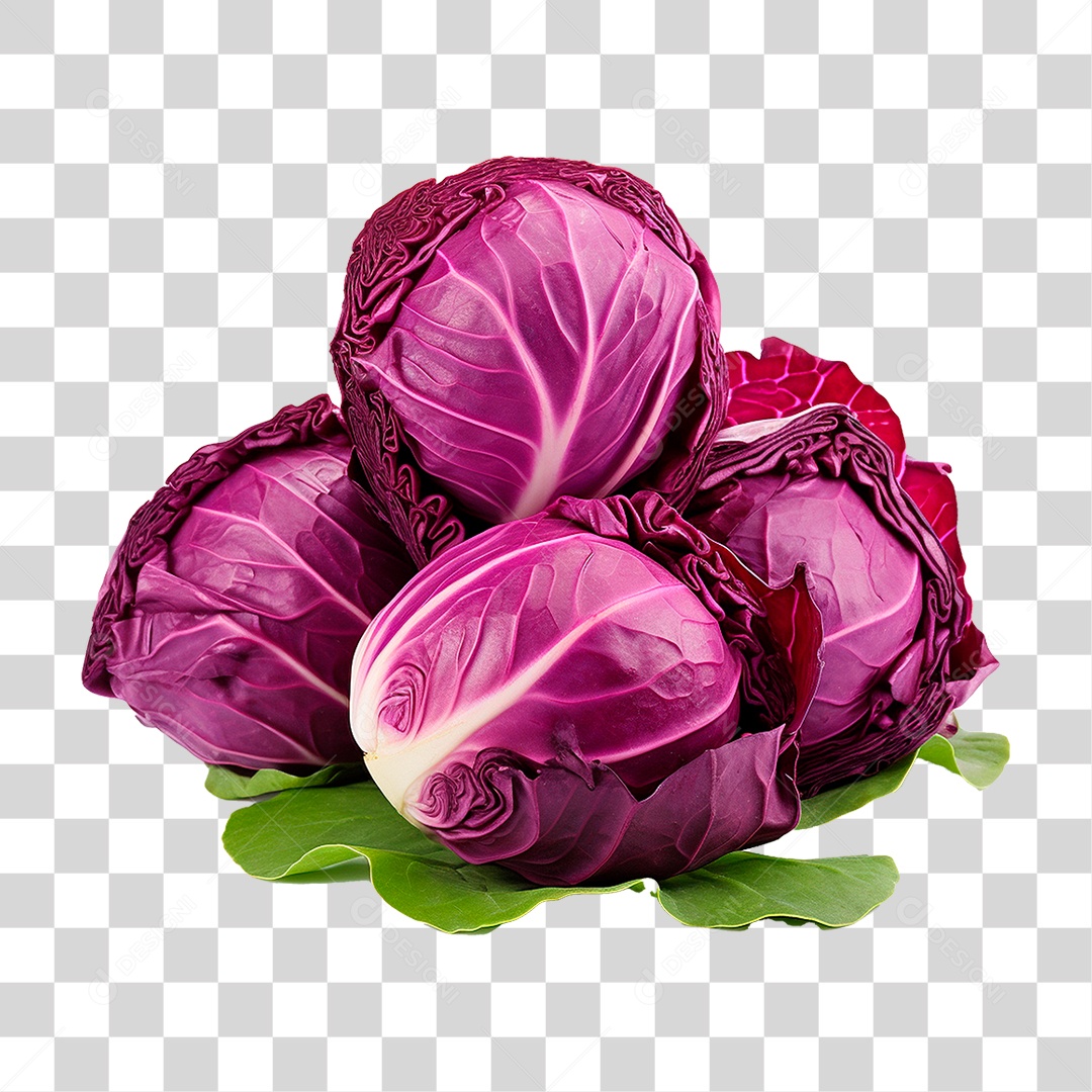 Repolho Roxo PNG Transparente