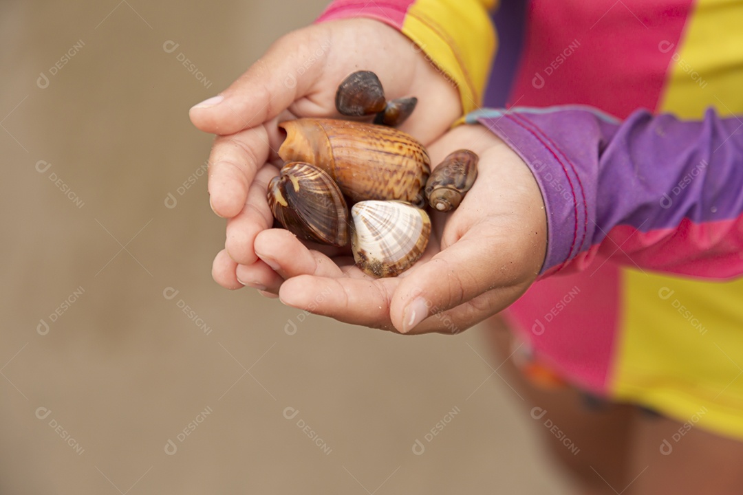 Mãos de pessoa segurando caramujo
