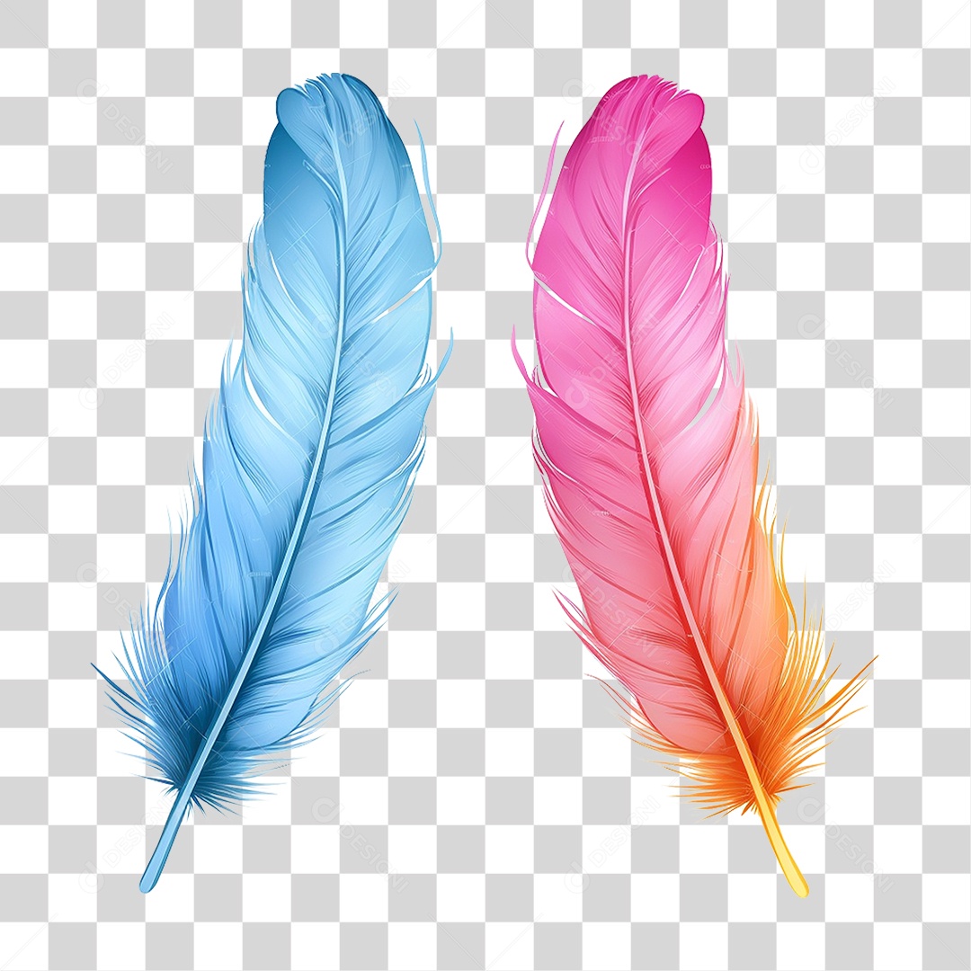 Pena Colorida PNG Transparente