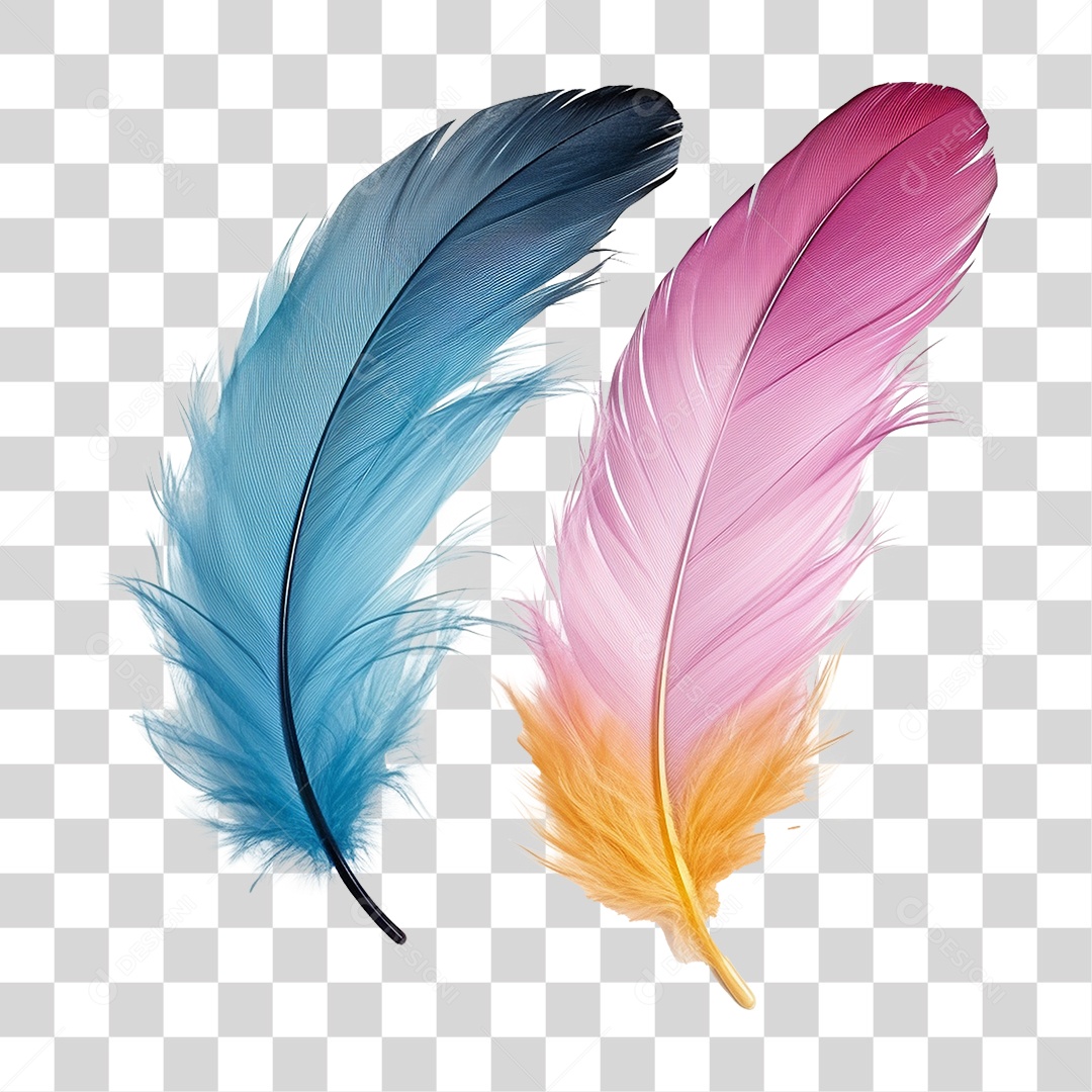 Pena Colorida PNG Transparente