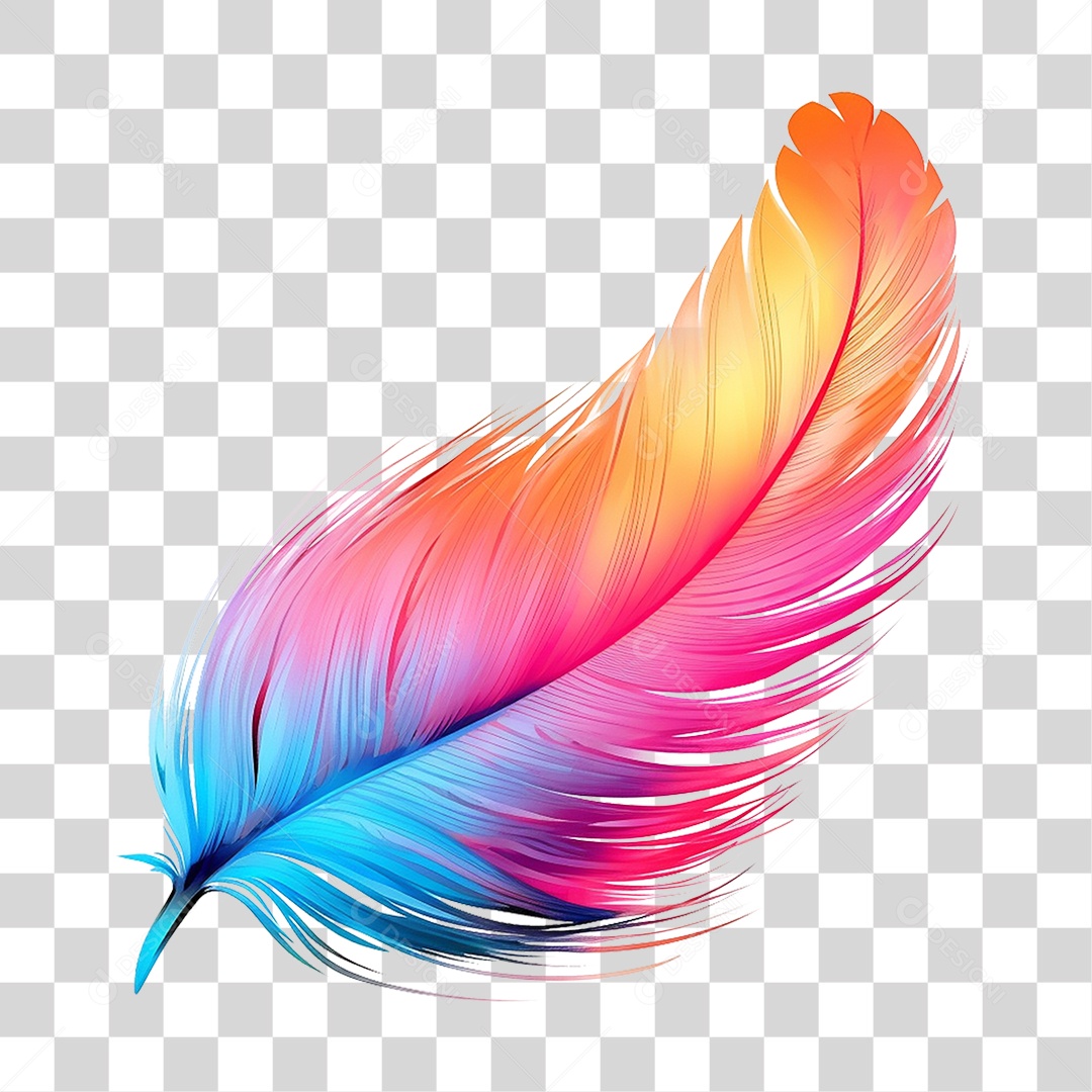 Pena Colorida PNG Transparente