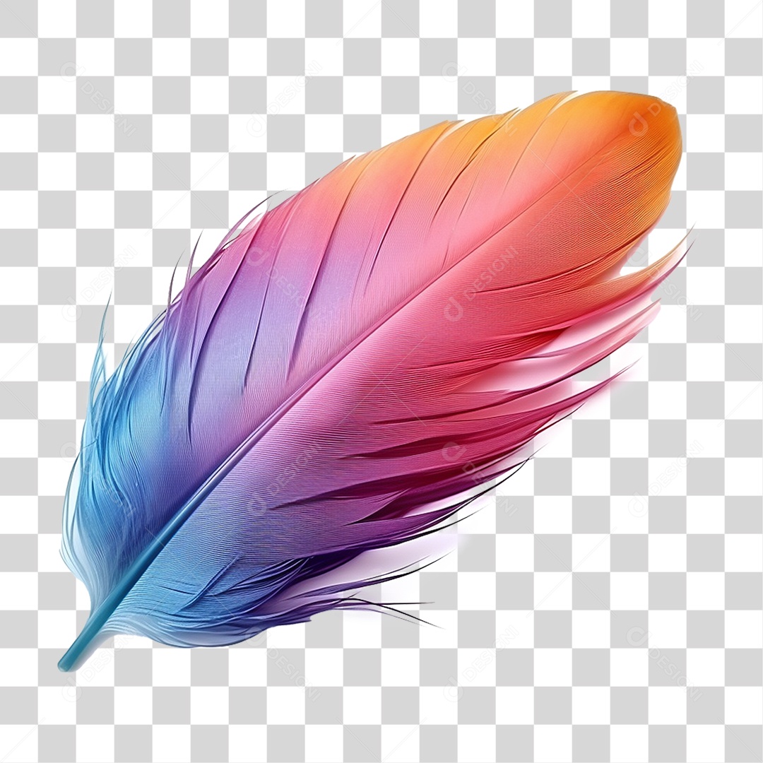 Pena Colorida PNG Transparente