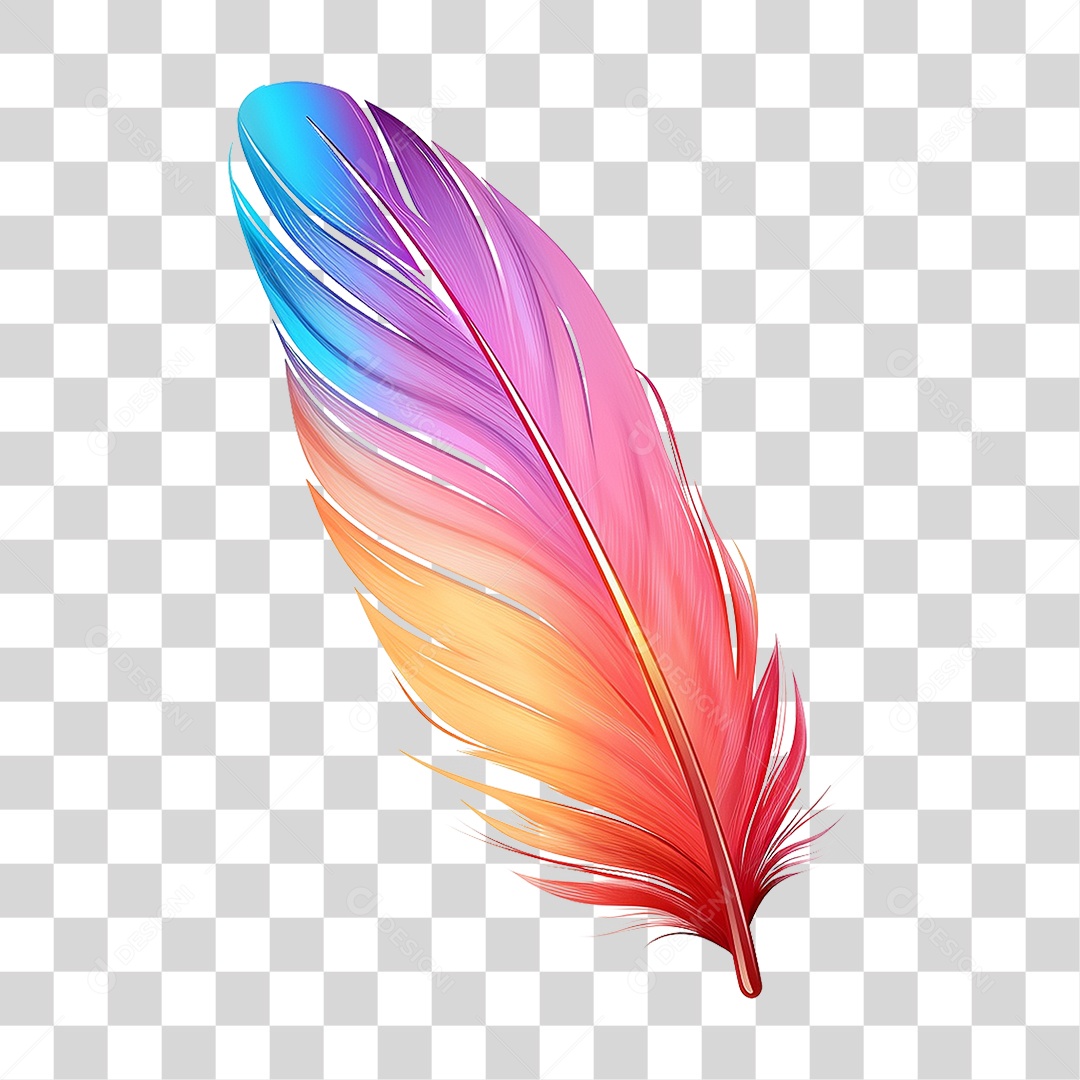 Pena Coloridas PNG Transparente