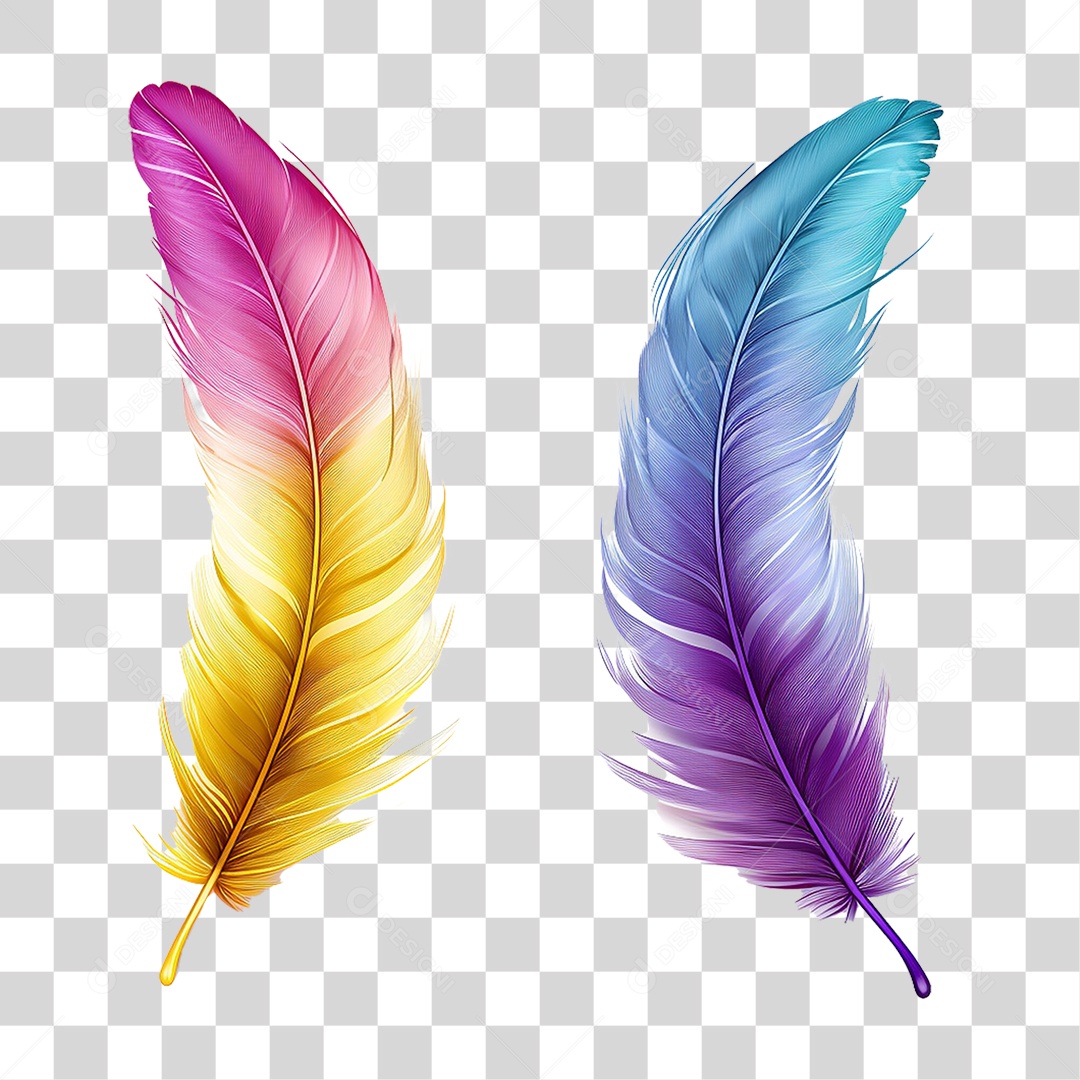 Penas Coloridas PNG Transparente