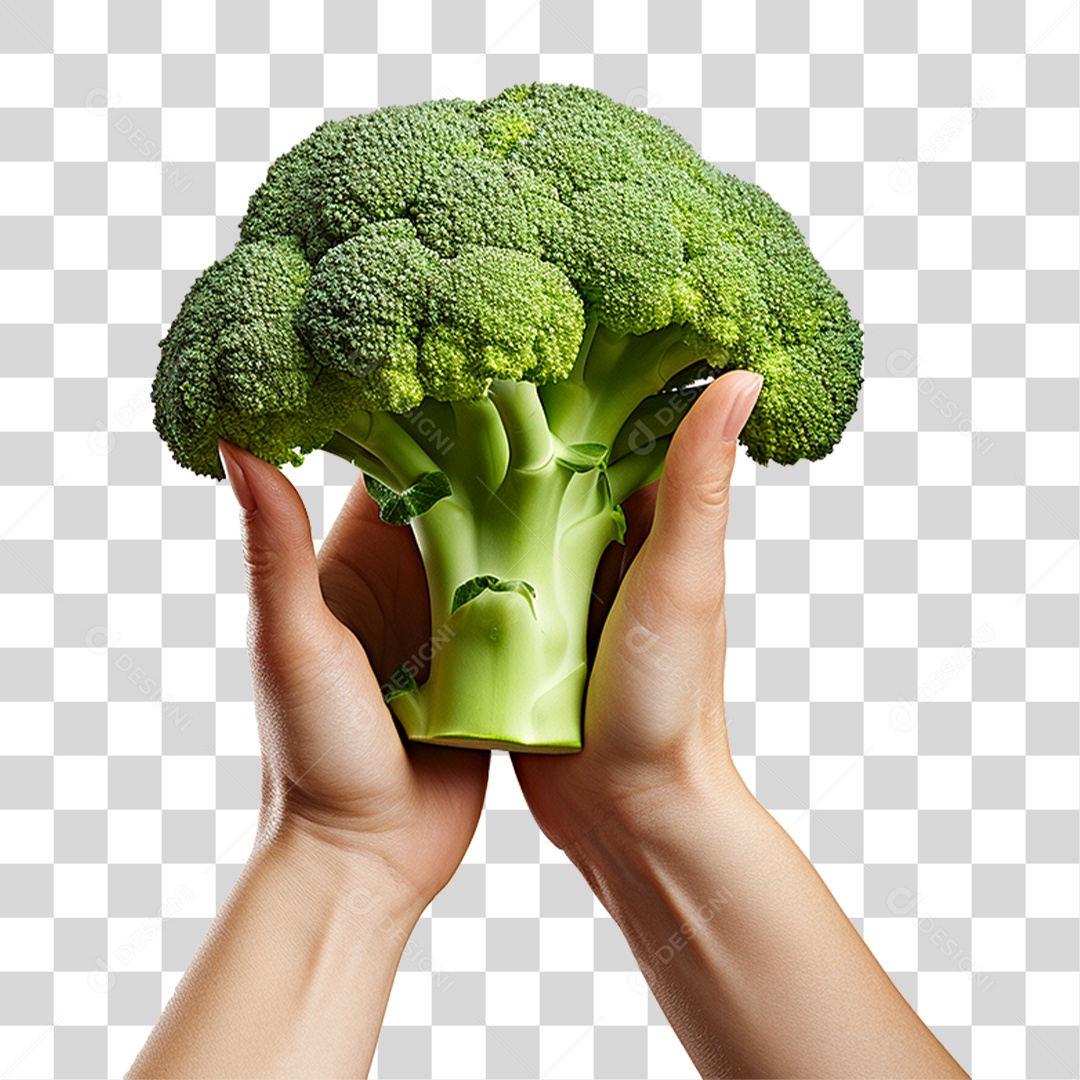 Mão Segurando Brócolis PNG Transparente