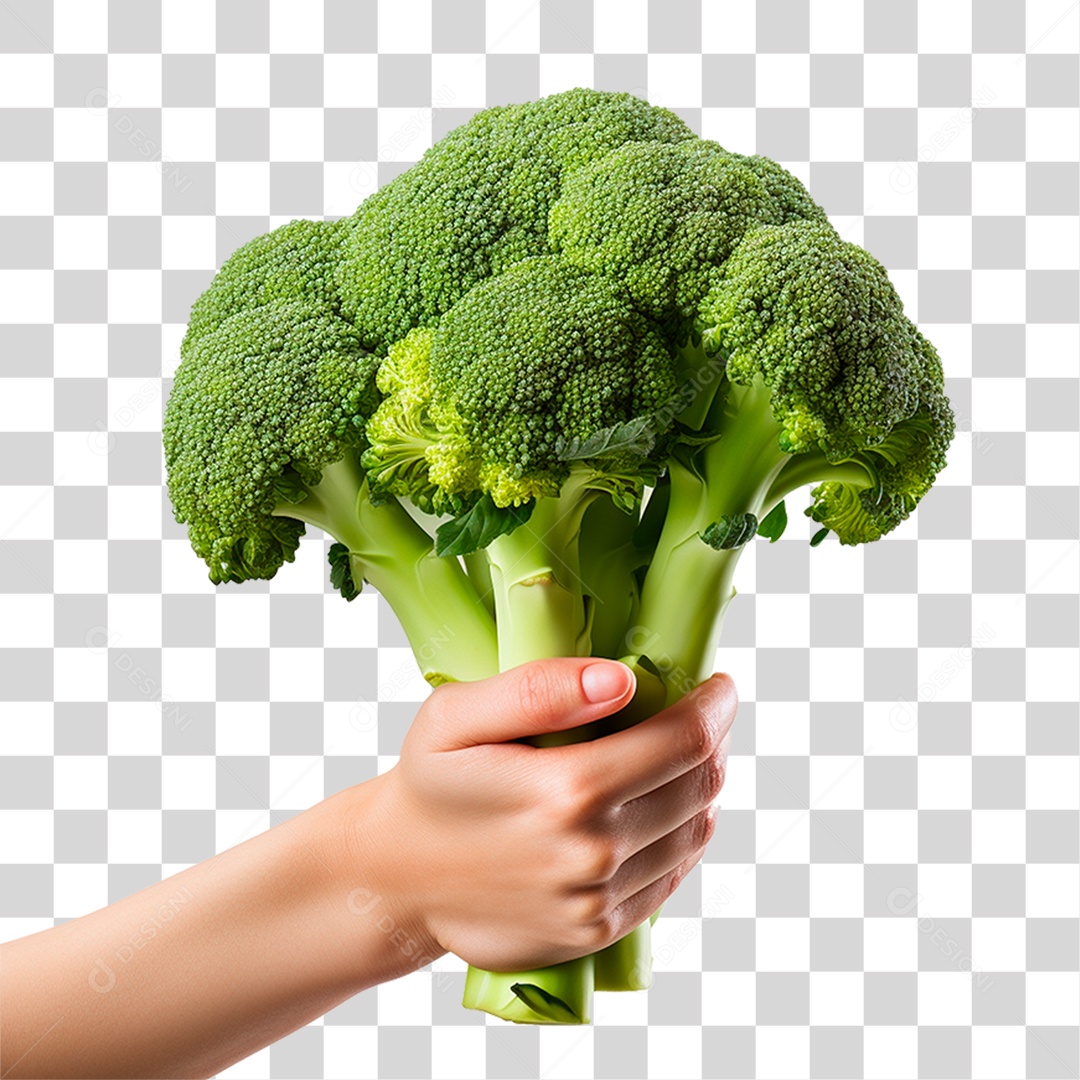 Mão Segurando Brócolis PNG Transparente
