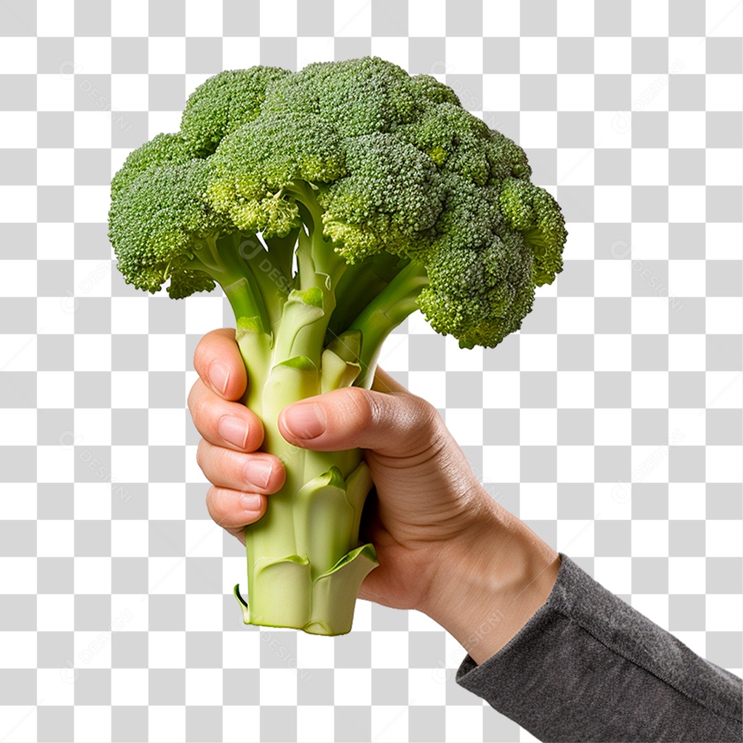 Mão Segurando Brócolis PNG Transparente