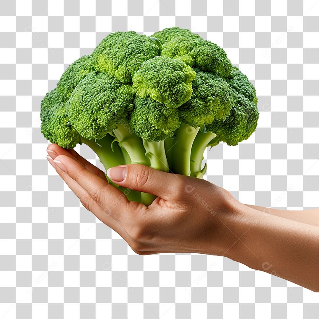 Mão Segurando Brócolis PNG Transparente