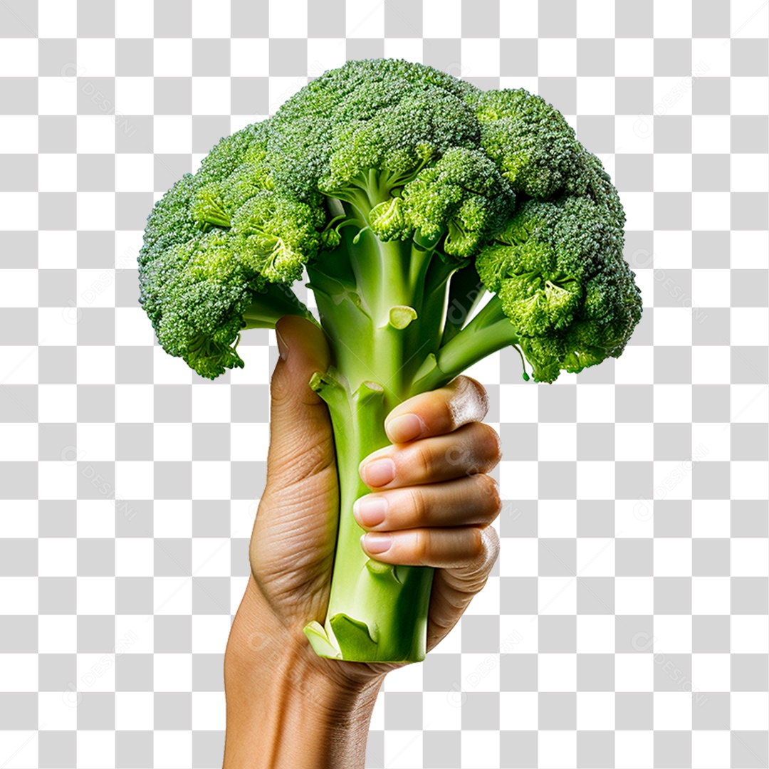 Mão Segurando Brócolis PNG Transparente