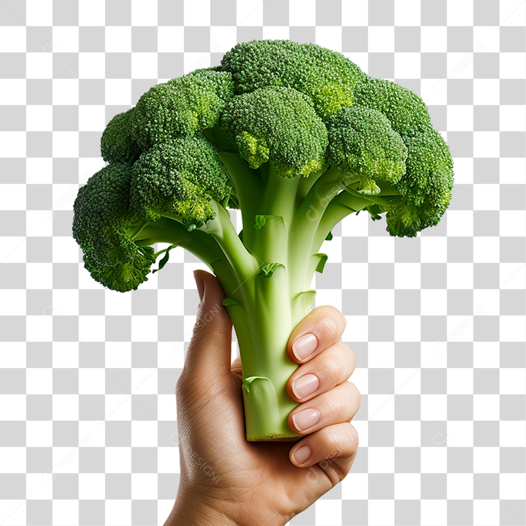 Mão Segurando Brócolis PNG Transparente