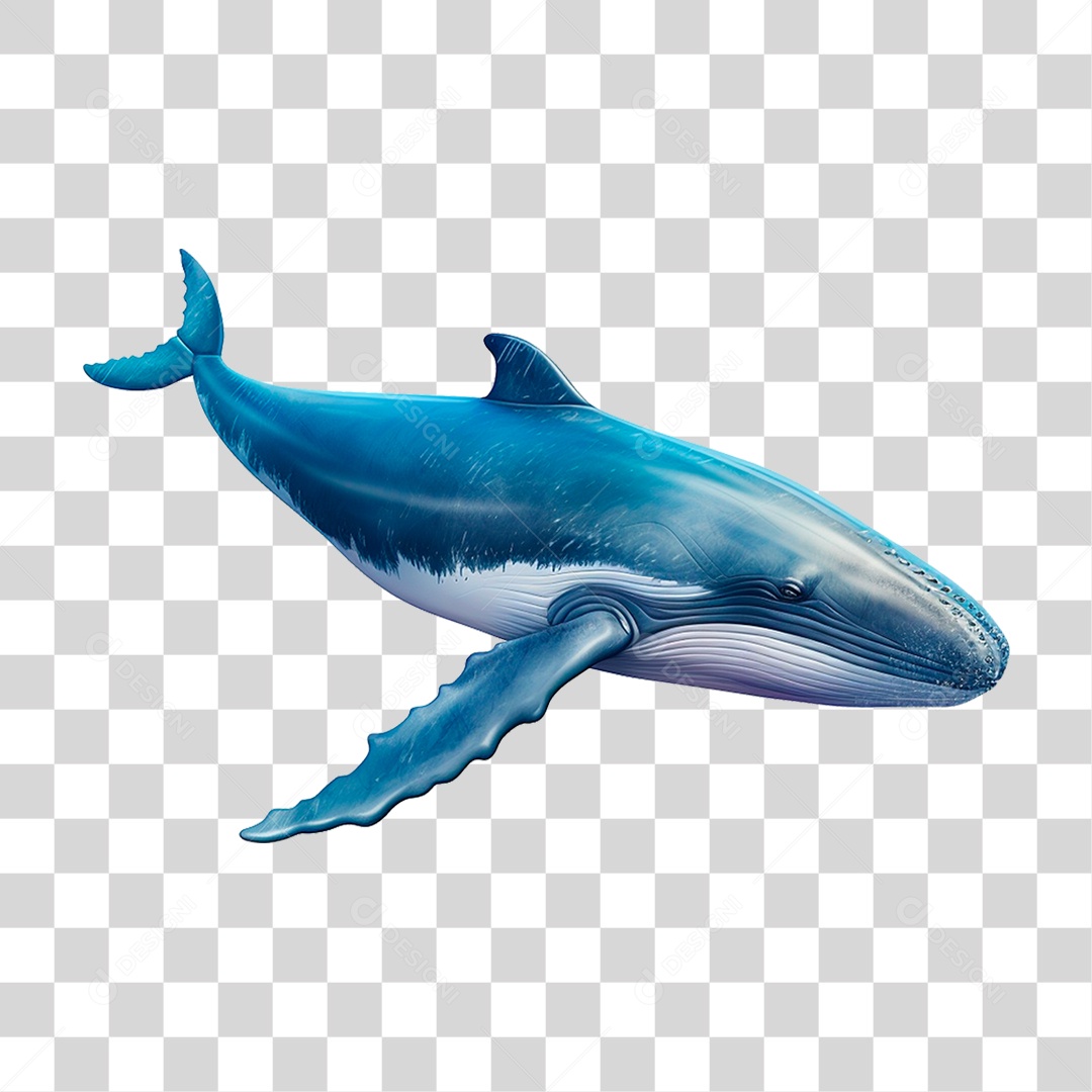 Baleia Jubarte PNG Transparente