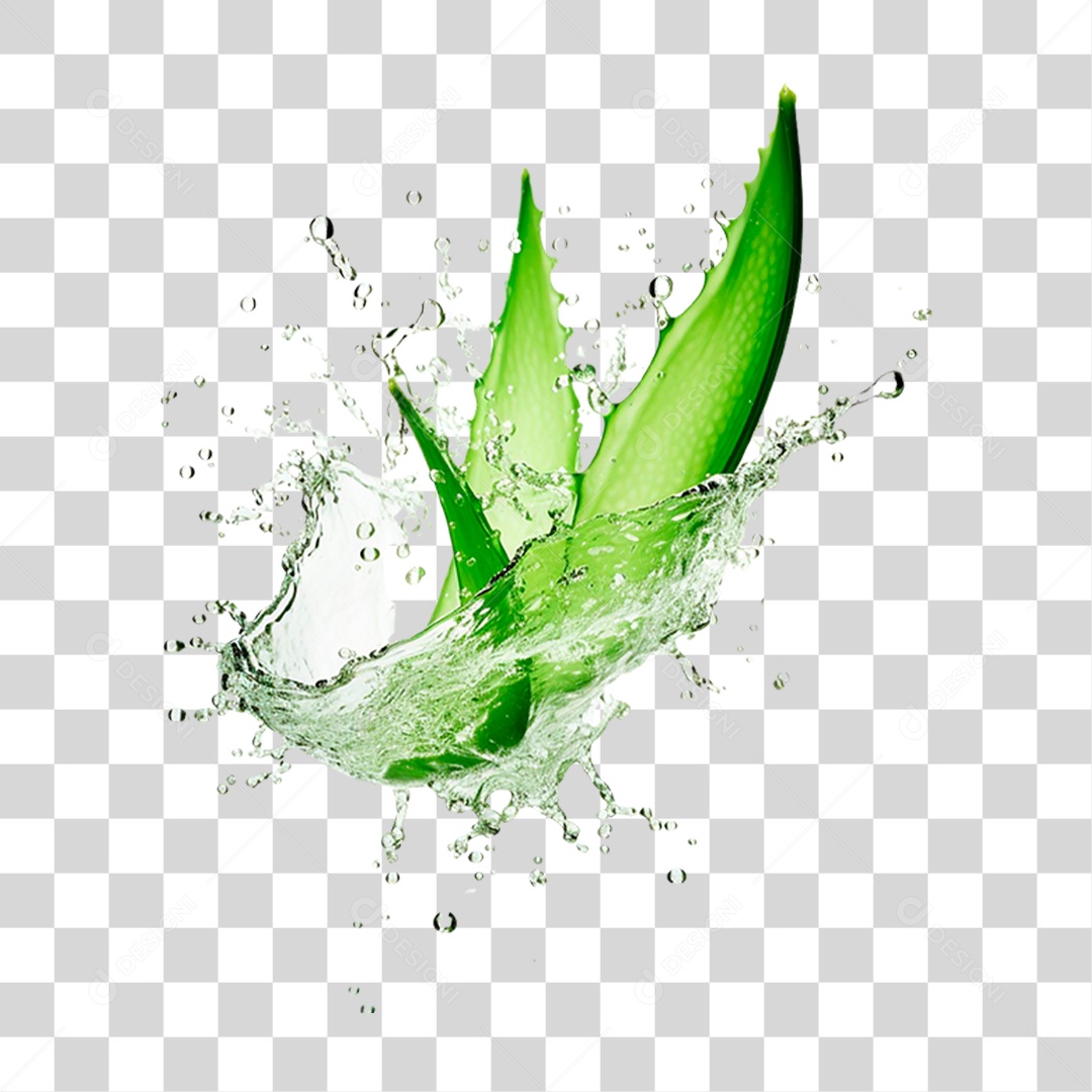 Folhas de Babosa PNG Transparente