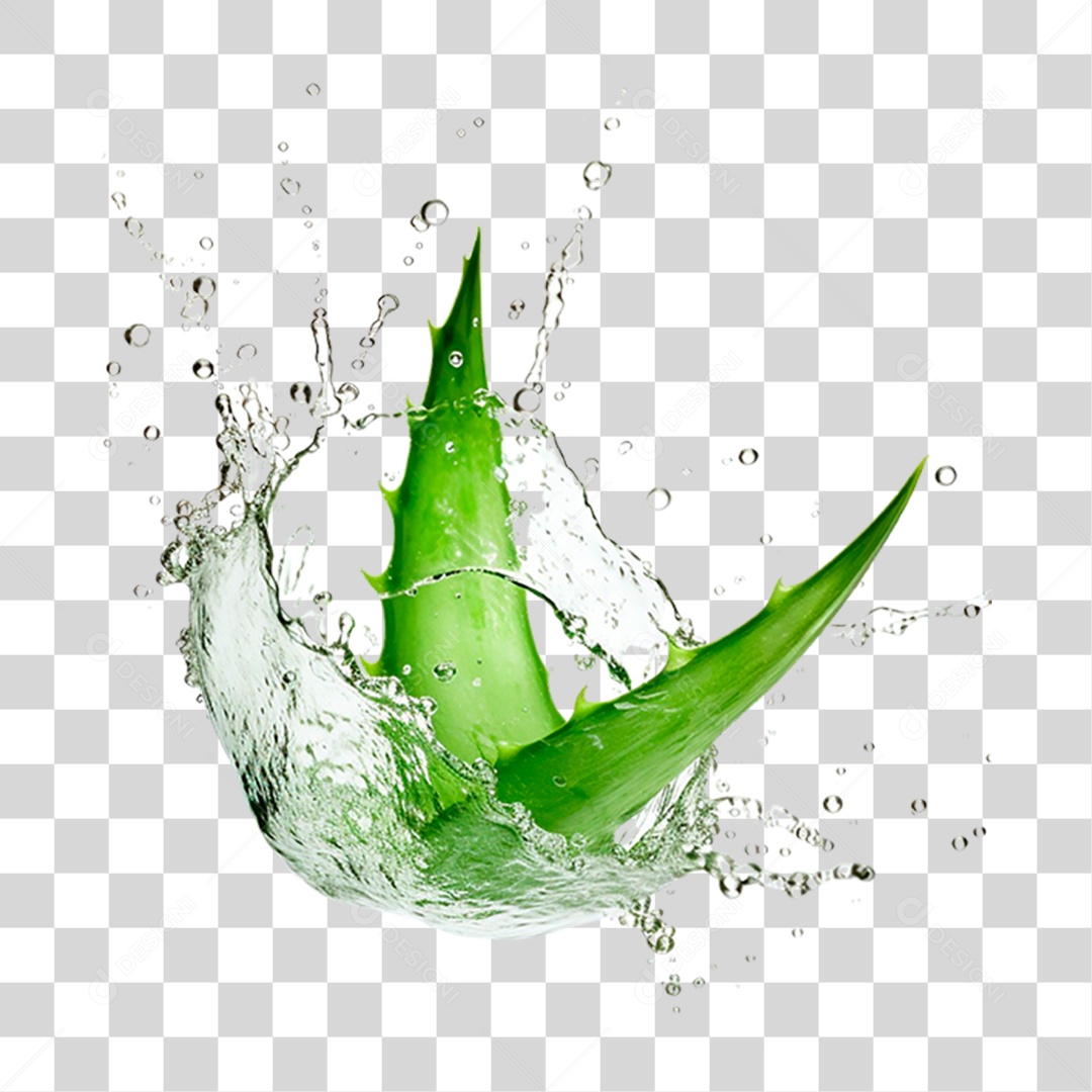 Folhas de Babosa PNG Transparente